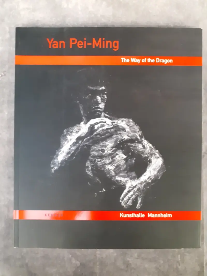 Boek: Yan Pei-Ming - The Way of the Dragon – kavel bij De Kringwinkel, Gent