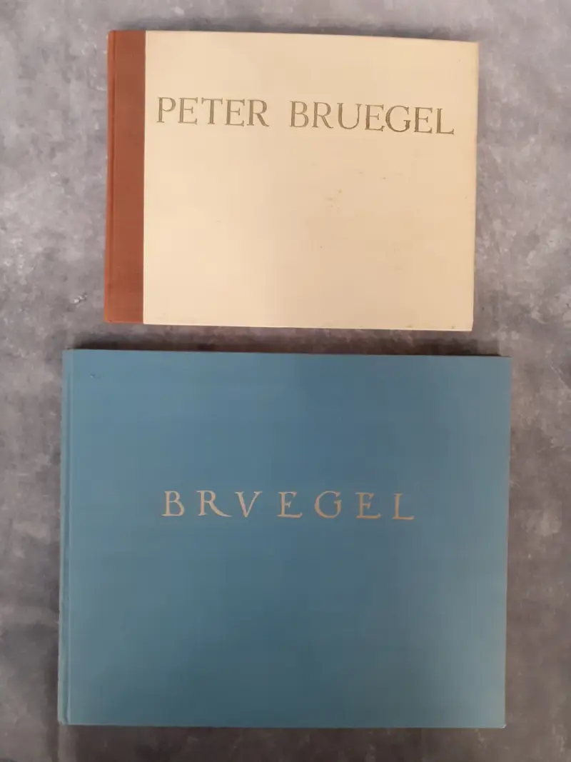 Boek: Duo van Pieter Breugel kunstboeken – kavel bij De Kringwinkel, Gent