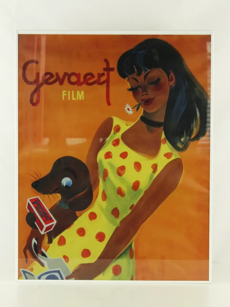 Gevaert Film reclameposter van vrouw met hond – kavel bij De Kringwinkel, Antwerpen