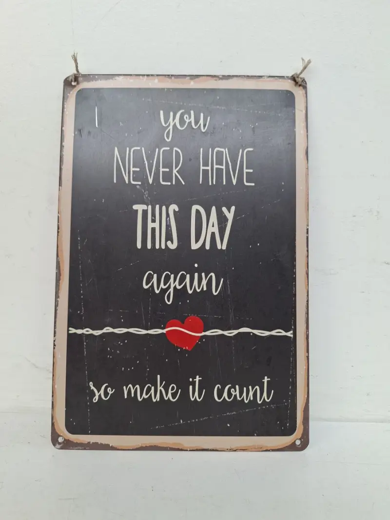 Metalen Wandbord – "You Never Have This Day Again" – kavel bij De Kringwinkel, Waardamme