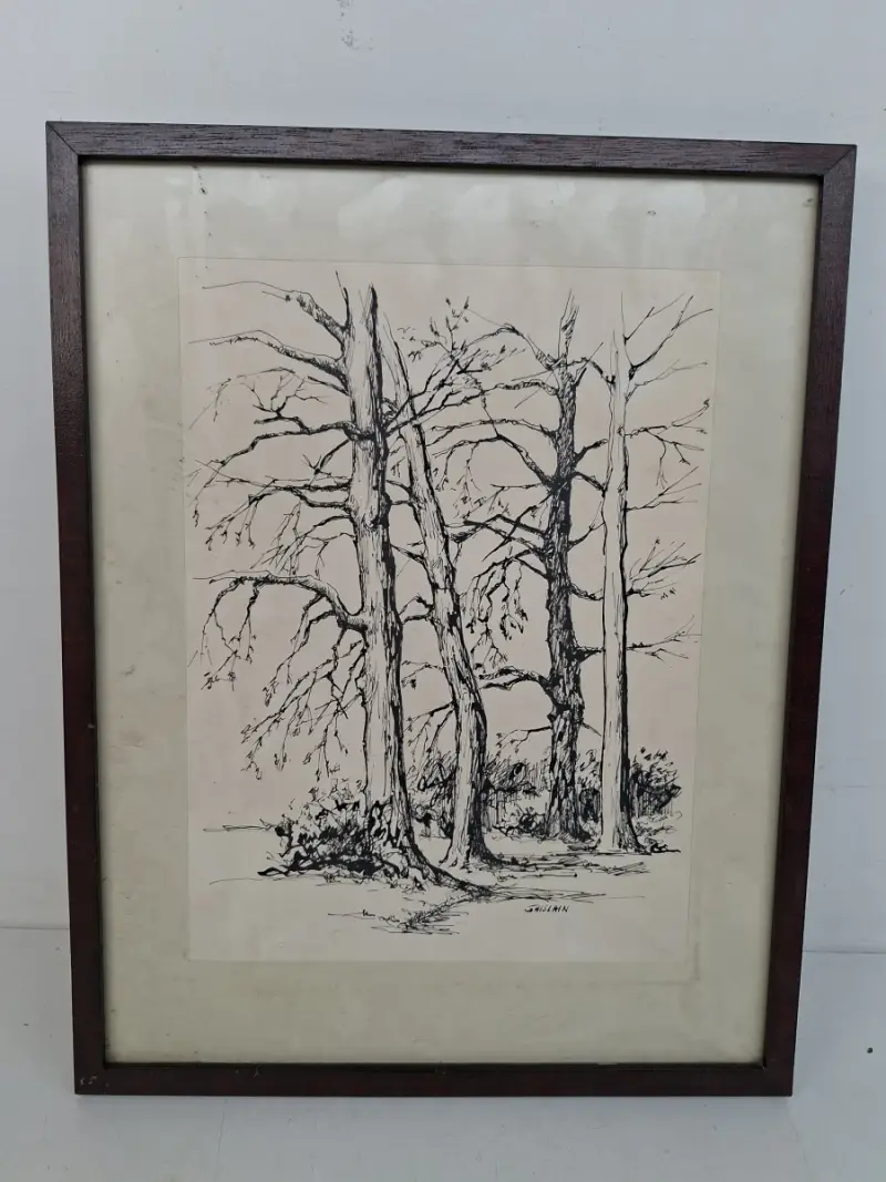 Sfeervolle Ingelijste Inkttekening: "Bomen in het Landschap" – Handgesigneerd door Ghislain – kavel bij De Kringwinkel, Waardamme